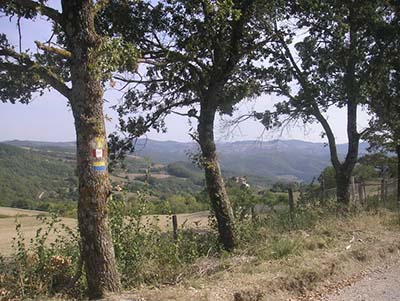 Sanfrancesco